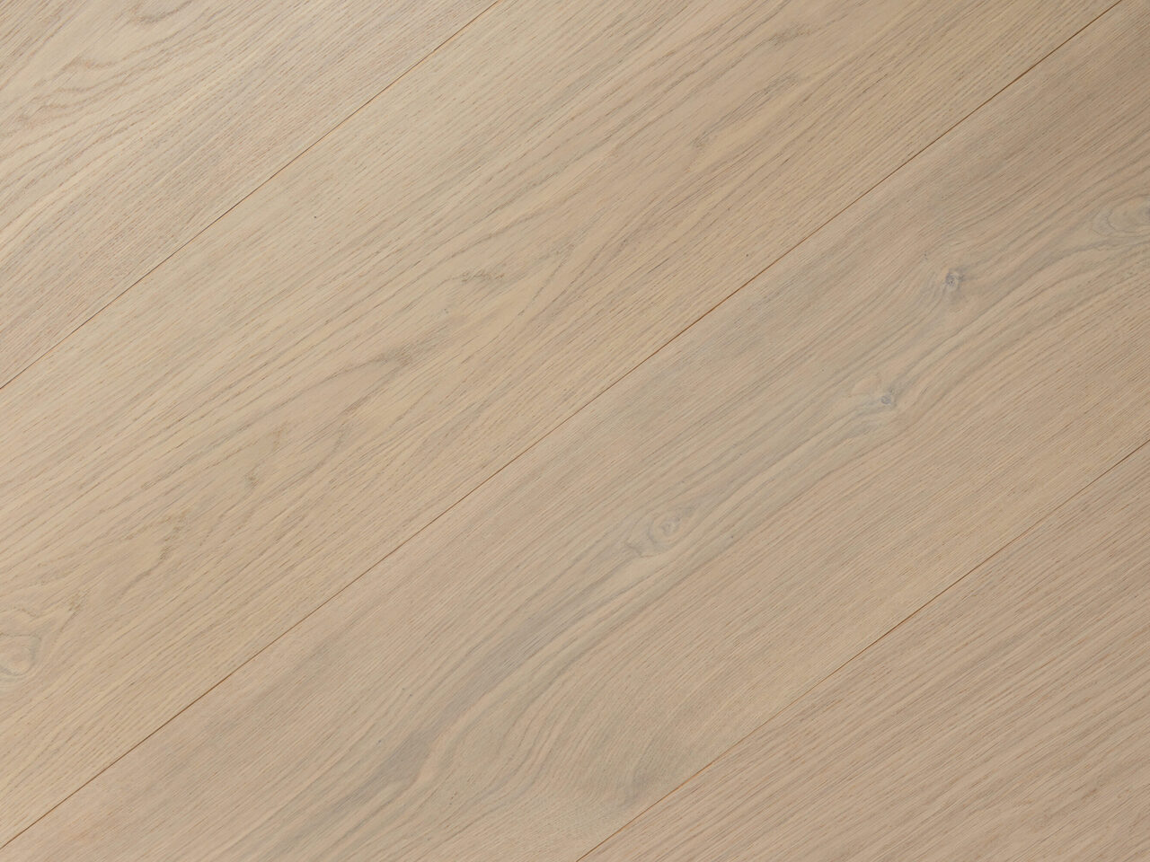 Worthy_detail2_Premier 1-bis_180