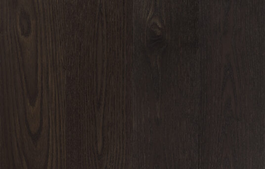 Talina_Premier 1-bis_topdown2_180