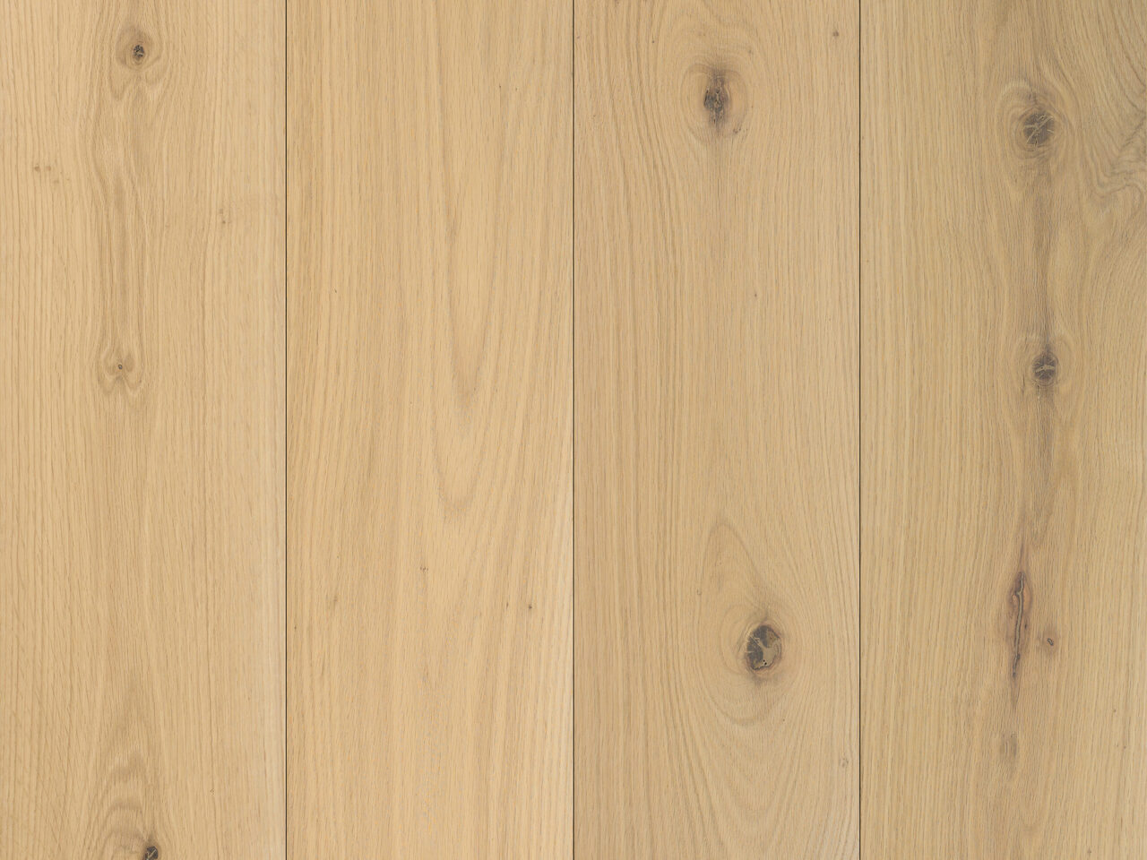 Tundra_Natural_topdown2_180