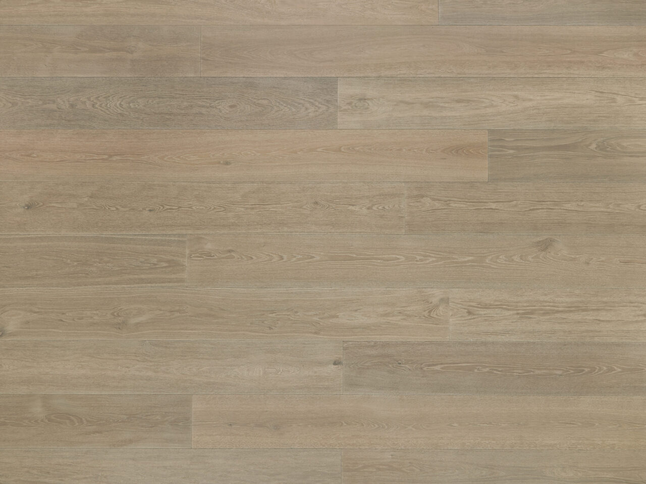 Locke_topdown1_Premier 1-bis_240