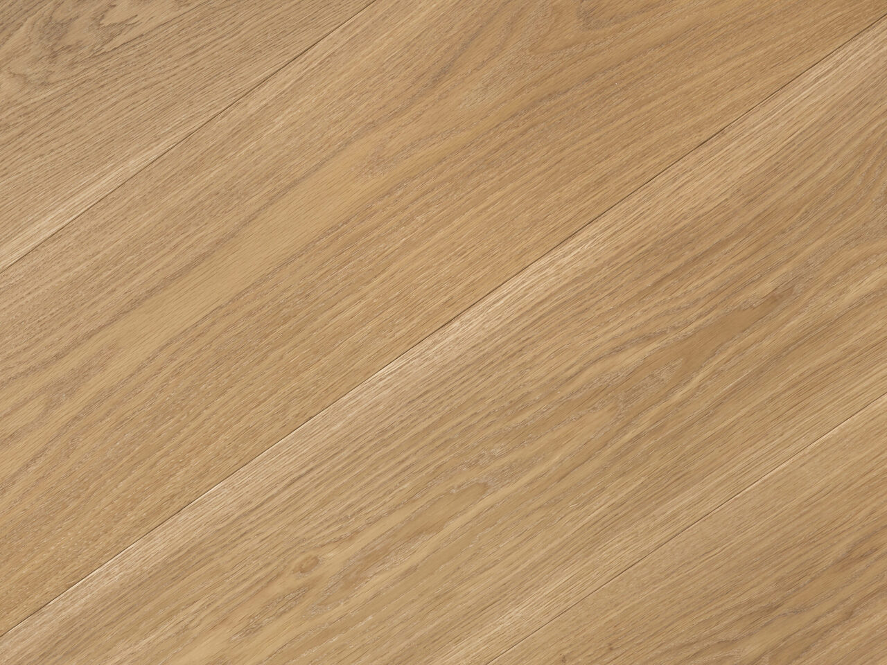 Grotto_detail2_Premier 1-bis_240