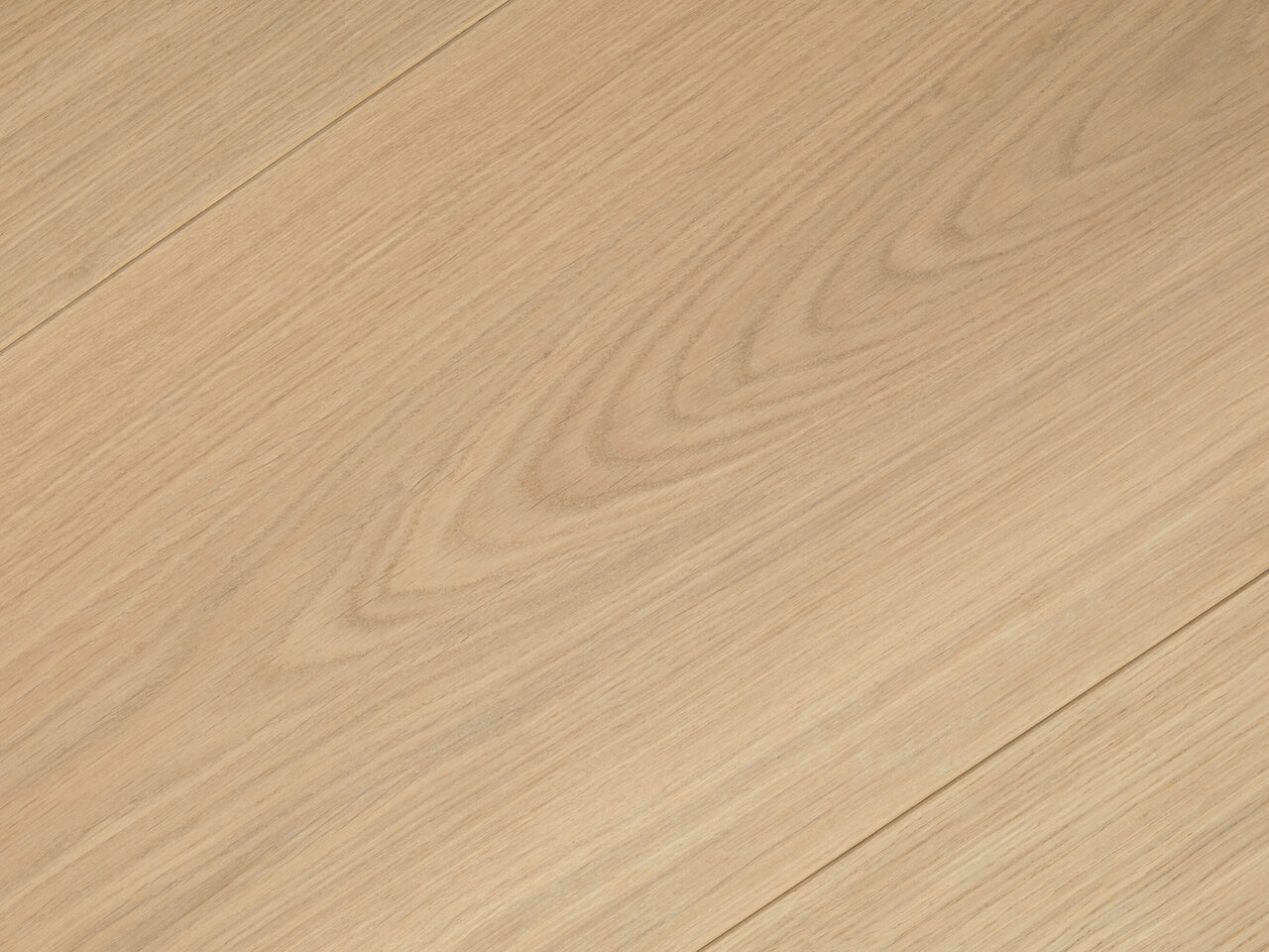 Pure_detail2_Premier 1-bis_240