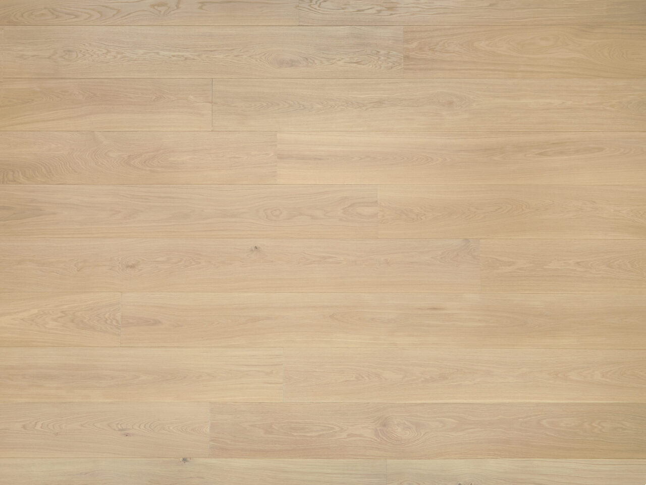 Pure_topdown1_Premier 1-bis_240