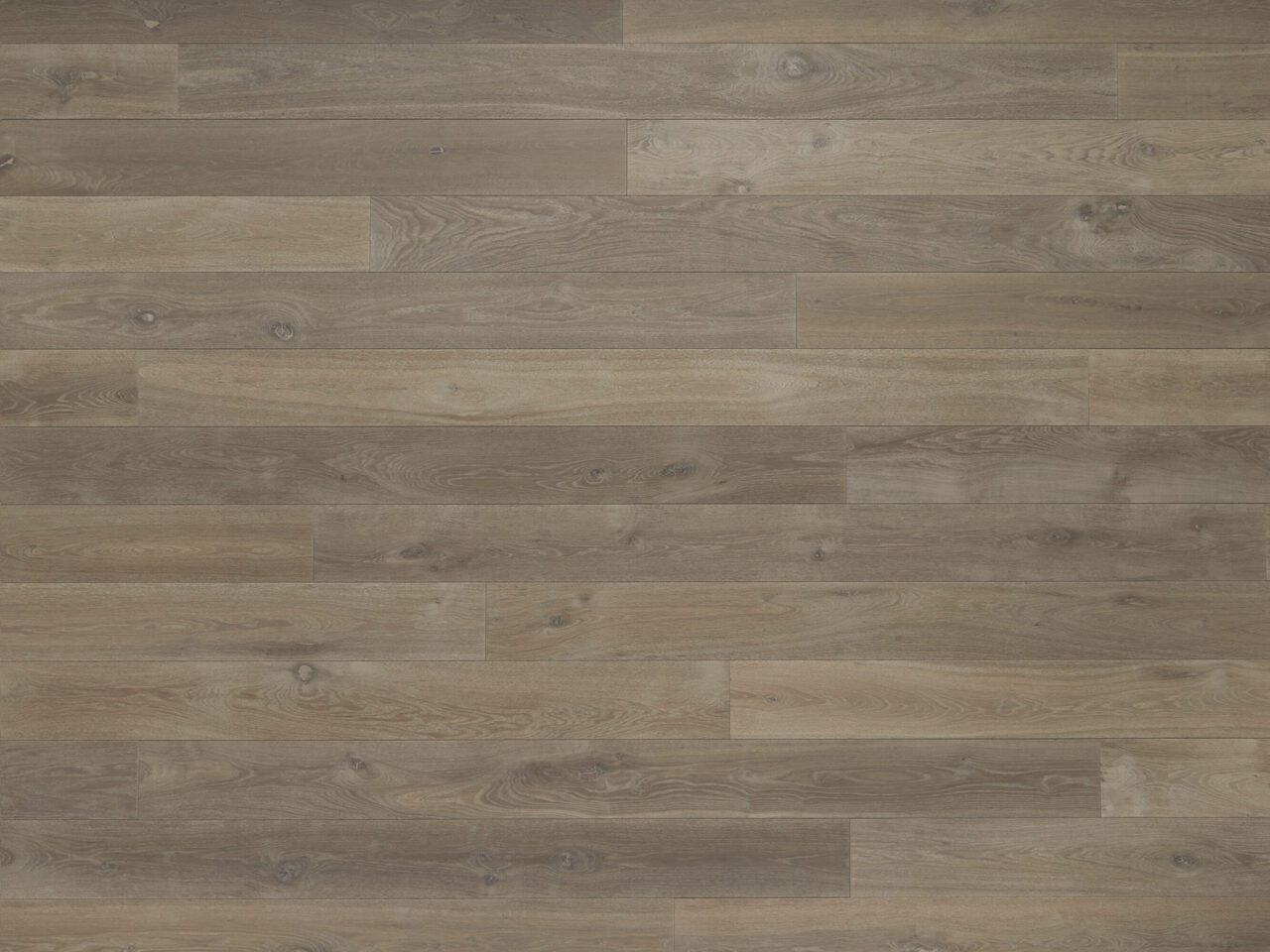 Siva_topdown1_Natural_180