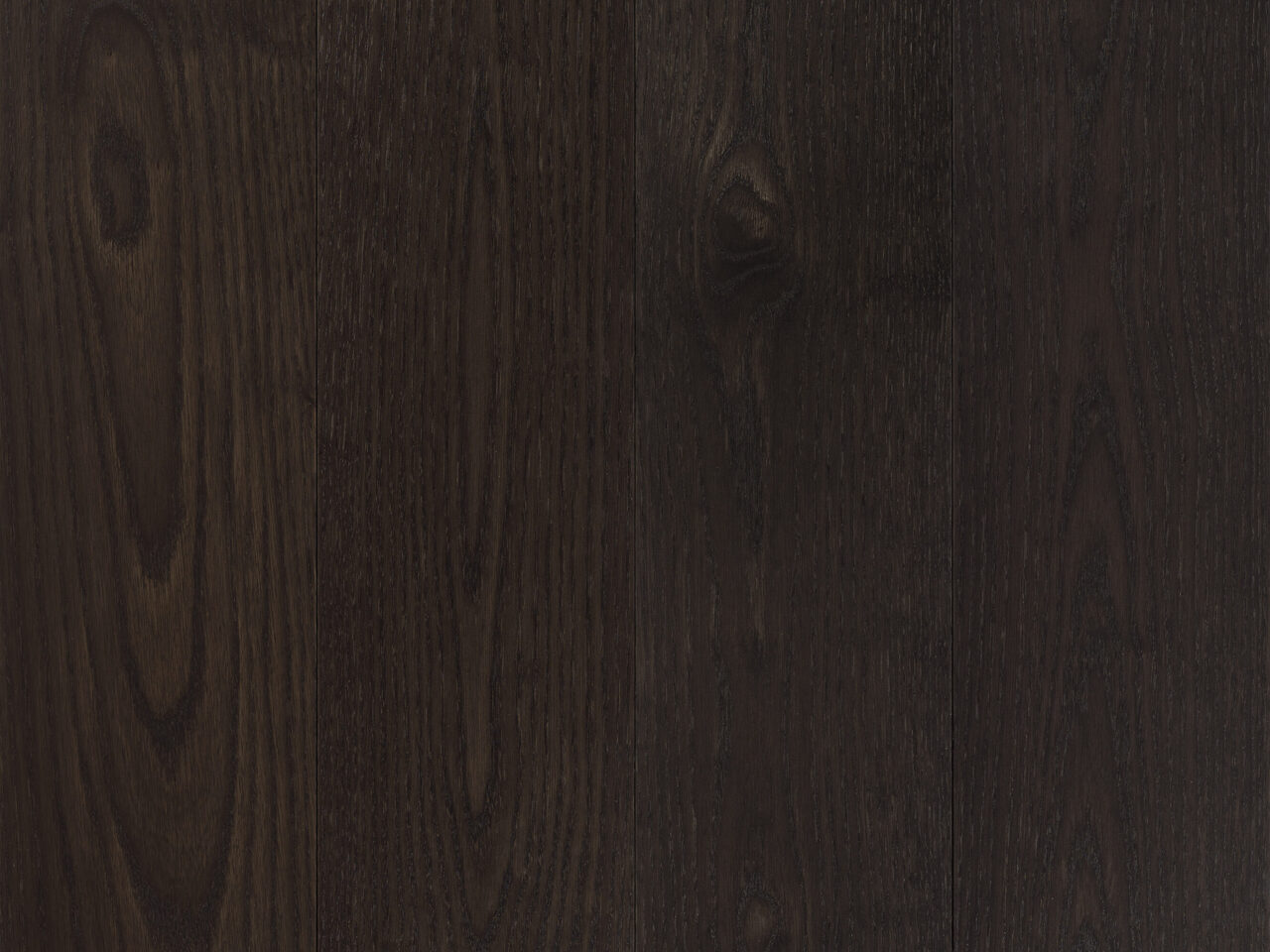 Talina_Premier 1-bis_topdown2_180