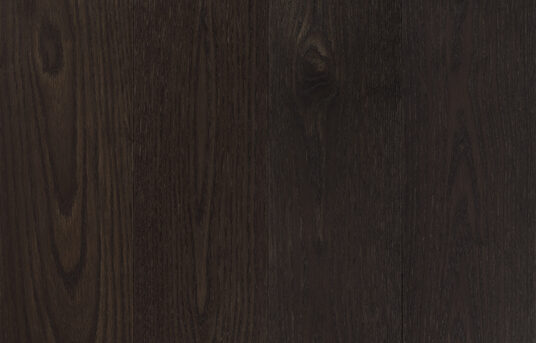 Talina_Premier 1-bis_topdown2_180